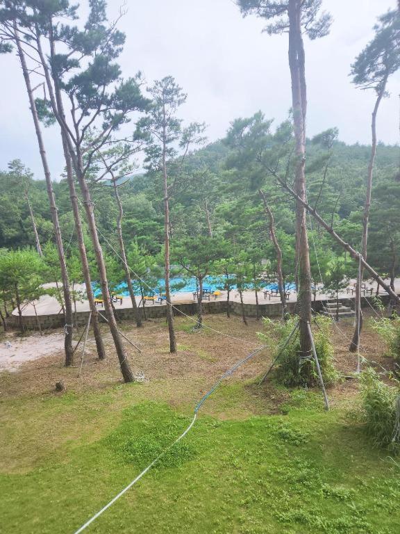 Sokcho Daemyung Heidi Pension Esterno foto